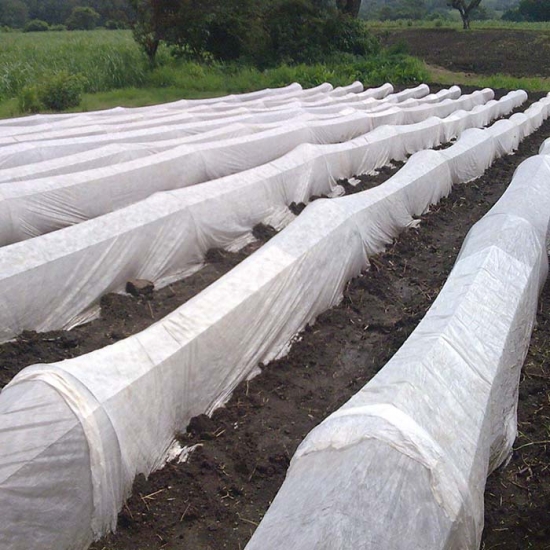 Water permeable nonwoven ground cover