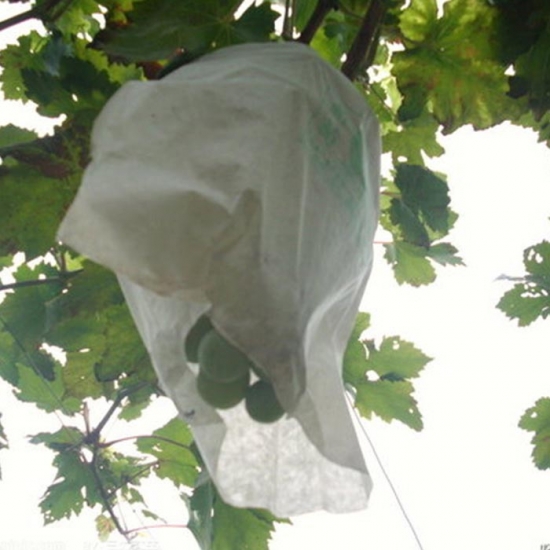 Nonwoven agricultural grape bag